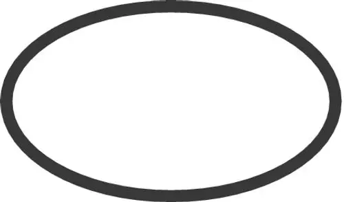 Schwarzer O-Ring mit ovaler Form auf weißem Hintergrund. Der O-Ring könnte Teil eines Hansgrohe-Produkts sein.
